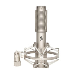 Stagg Ribbon Microphone (SRM70)