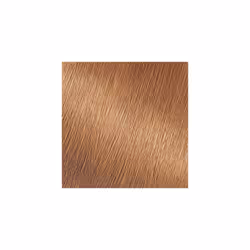 Garnier Nutrisse Nourishing Hair Color Creme  73 Dark Golden Blonde (Honey Dip) (Packaging May Vary)