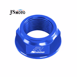 For BMW S1000R S1000RR CNC Swing Arm Pivot Shaft Nut Screw Bolt Protection - S1000R Titanium