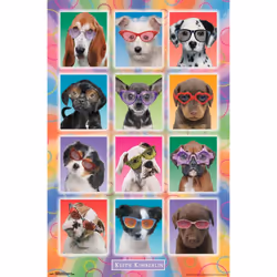 Trends International Keith Kimberlin  Puppies  Sunglasses Wall Poster  22.375 x 34  Unframed Version