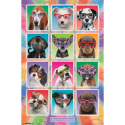 Trends International Keith Kimberlin  Puppies  Sunglasses Wall Poster  22.375 x 34  Unframed Version