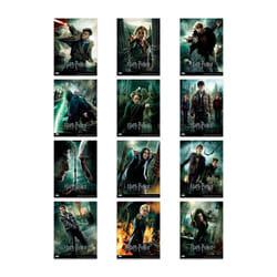 Trends International Harry Potter Poster Book Poster Book