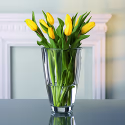 Nachtmann Carre Collection Crystal Vase  Clear Glass  9.8 - Inch  Decorative Flower Vase  Anniversary  Wedding  and Housewarming Gift  Dishw