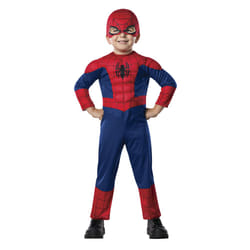 Rubie's 620009-T fancy dress Fancy costume Child Male Superhero