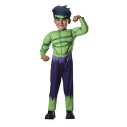 Rubie's 620016-T fancy dress Fancy costume Child Male Superhero