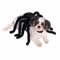 Rubie's Pet Spider Harness Costume Medium