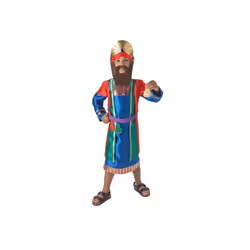 Mans Nativity Wise Child Costume - Small