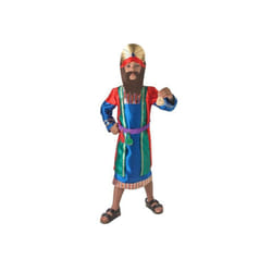 Mans Nativity Wise Child Costume - Small