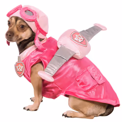 Paw Patrol Skye Dog Costume