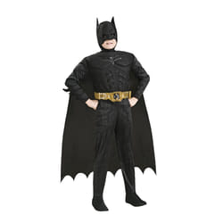 Rubie's 881290-L fancy dress Fancy costume Child Male Movie