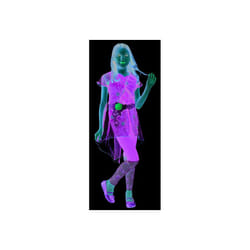 Poison Ivy DC Superhero Girls Deluxe costume for children costume stock Size - multicoloured, M