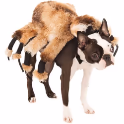 Official Rubie's Giant Spider Pet Dog Halloween Costume, Size: Small Neck to Tail 11 inch, Chest 14 inch