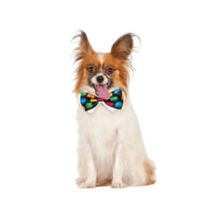 Polka Dot Pet Bowtie - Medium - Large