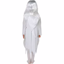 Rubie's Official Ghostly Spirit Halloween Childs Costume & Wig, Haunting Ghost Ghoul