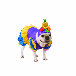 Rubie's unisex adult Brazilian Bombshell Pet Costume As Shown S Neck 12 Girth 17 Back 11 US