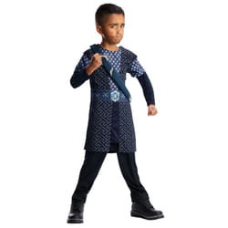 Thorin Costume - Medium