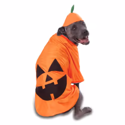 Rubie's Costume Co Big Dog's Pumpkin Pet Costume XX-Large