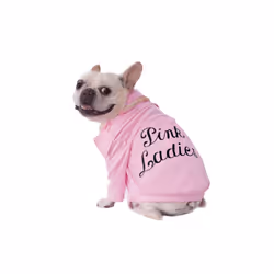 Rubie's Grease 40th Anniversary Pet Pink Ladies Jacket X-Small