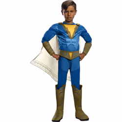 Rubie's Official Costume