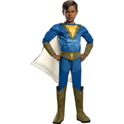 Rubie's Official Costume