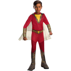 Rubie's Official Costume