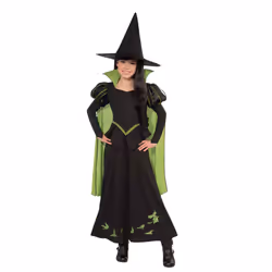 The Wicked Witch Of The West - M