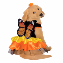Rubie's Monarch Butterfly Pet Costume X-Large