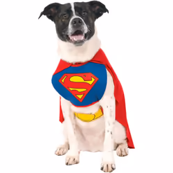 Rubie's 887892S Official Superman Pet Dog Costume, Small