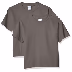 gildan unisex child Ultra cotton Youth T-shirt  2-pack T Shirt  charcoal  Large US