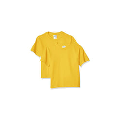 gildan Youth Ultra cotton T-Shirt  Style g2000B  2-Pack  Daisy  X-Large