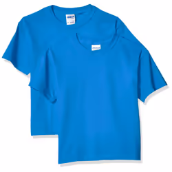 gildan unisex child Ultra cotton Youth T-shirt  2-pack T Shirt  Sapphire  X-Small US