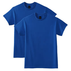 Gildan Adult DryBlend T-Shirt  Style G8000  Multipack
