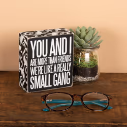 Primitives by Kathy You And I Are More Than Friends Box Sign