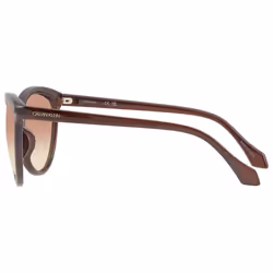 Calvin Klein Women's CK19534S Cat-Eye Sunglasses  Crystal Brown/Brown