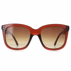 Calvin Klein Sunglasses CK22550S 210 Transparent Brown Brown Gradient