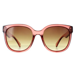 Calvin Klein Sunglasses CK22553S 210 Transparent Brown Brown Gradient