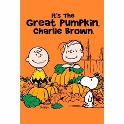 Warner Home Video It's The Great Pumpkin, Charlie Brown, DVD, Animated film/cartoon, DVD, English, Family, Holiday, 2D