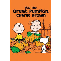 Warner Home Video It's The Great Pumpkin, Charlie Brown, DVD English