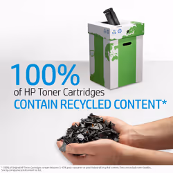HP 304A 2-pack Black Original LaserJet Toner Cartridges - Additional view 7