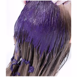 Redken | Color Extend Blondage | Express Anti-Brass Mask | for Blonde Hair | Violet Pigment