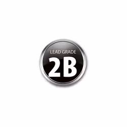 Super Hi-Polymer C502-2B 0.2 mm Grade B Refill Lead (Pack of 12)