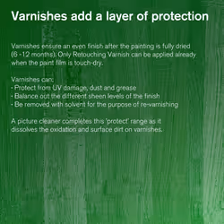 Winsor  Newton Professional Dammar Varnish  250ml 84oz Bottle