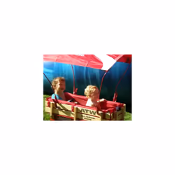 Radio Flyer Wagon Canopy