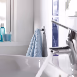 Essentials Robe Hook â Bathroom Wall Mounted Shower Towel Hanger (Metal, Concealed Fastening, Including Screws and Dowels, Durable Sparkling Sheen),