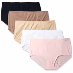 Fruit of the Loom Women's 5 Pack Microfiber Brief Panties Assorted 6