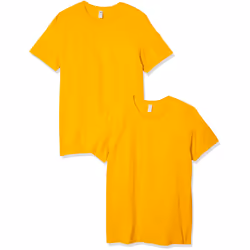 Fruit of the Loom Men's Crew T-Shirt (2 Pack) Gold X-Large