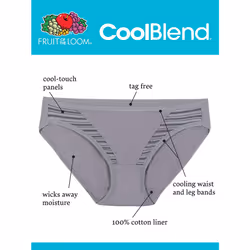 Fruit Of The Loom Womens Breathable Underwear  Moisture Wicking Keeps You Cool & Comfortable  Available Plus Size Bikini  Coolblend - Bikini - 4 Pack