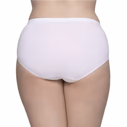 Fruit Of The Loom Womens Fit For Me Plus Size Underwear  Designed To Your Curves  Brief - Cotton - White  10 Plus