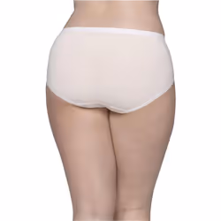 Fruit Of The Loom Womens Fit For Me Plus Size Underwear  Designed To Your Curves  Brief - Microfiber - Assorted  12 Plus