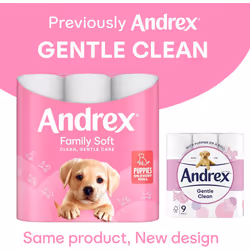 Andrex Family Soft Toilet Tissue 45 Toilet Rolls (Previously Andrex Gentle Clean Toilet Paper), Gentle on your Familys skin Bulk